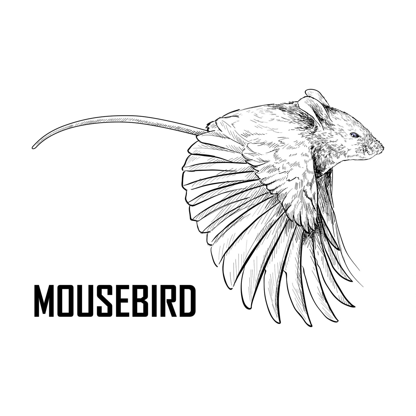 Mouse Bird