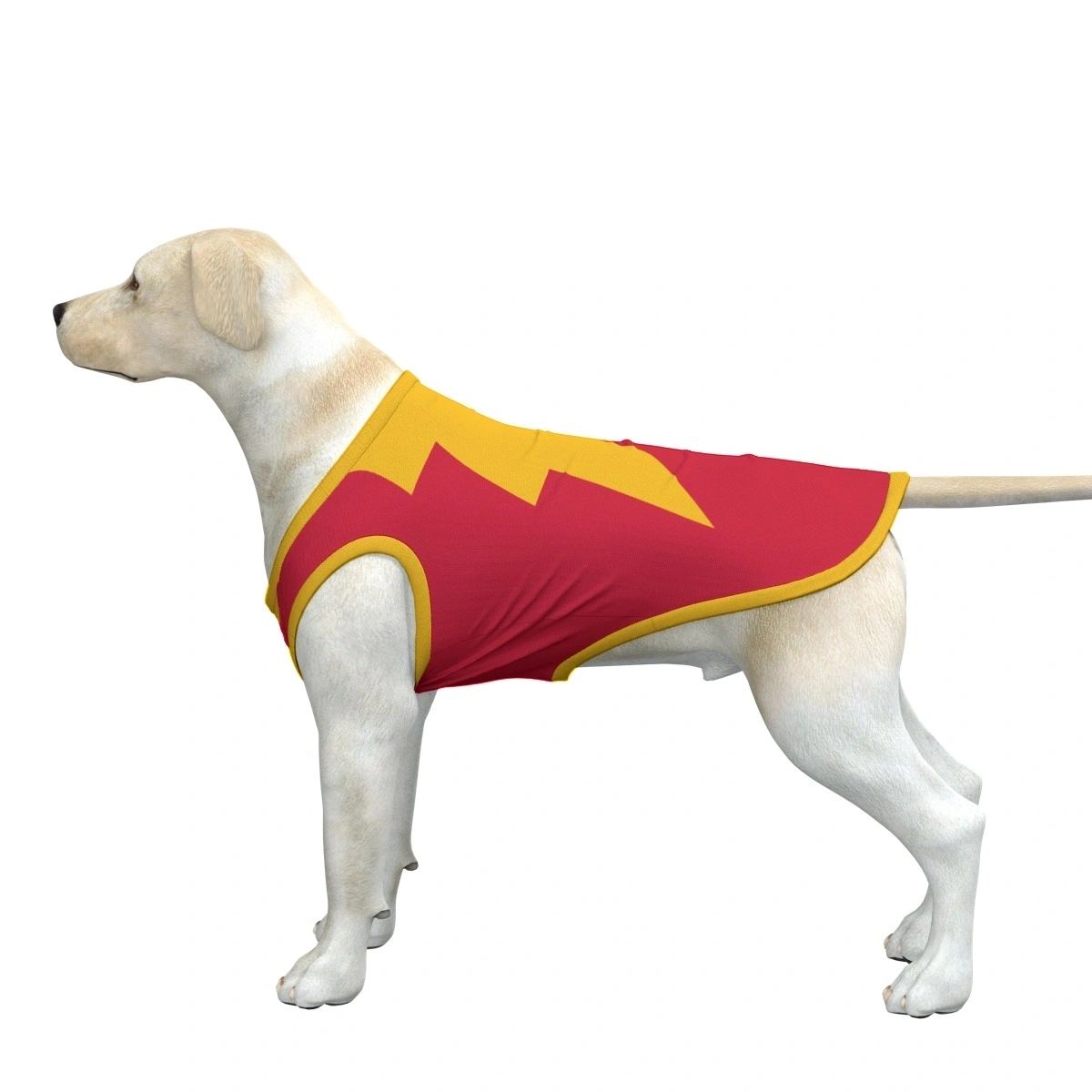 SHAZAM DOGGY TANK TOP