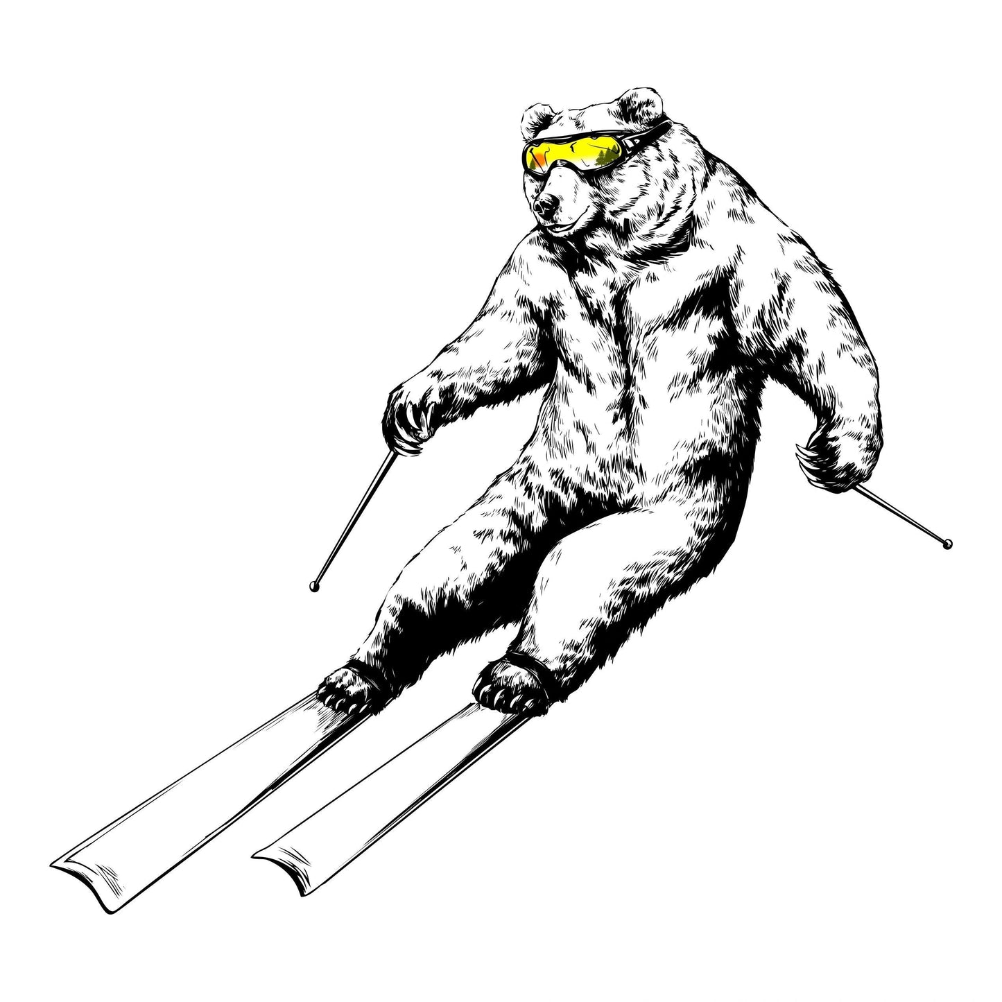 Ski Bear
