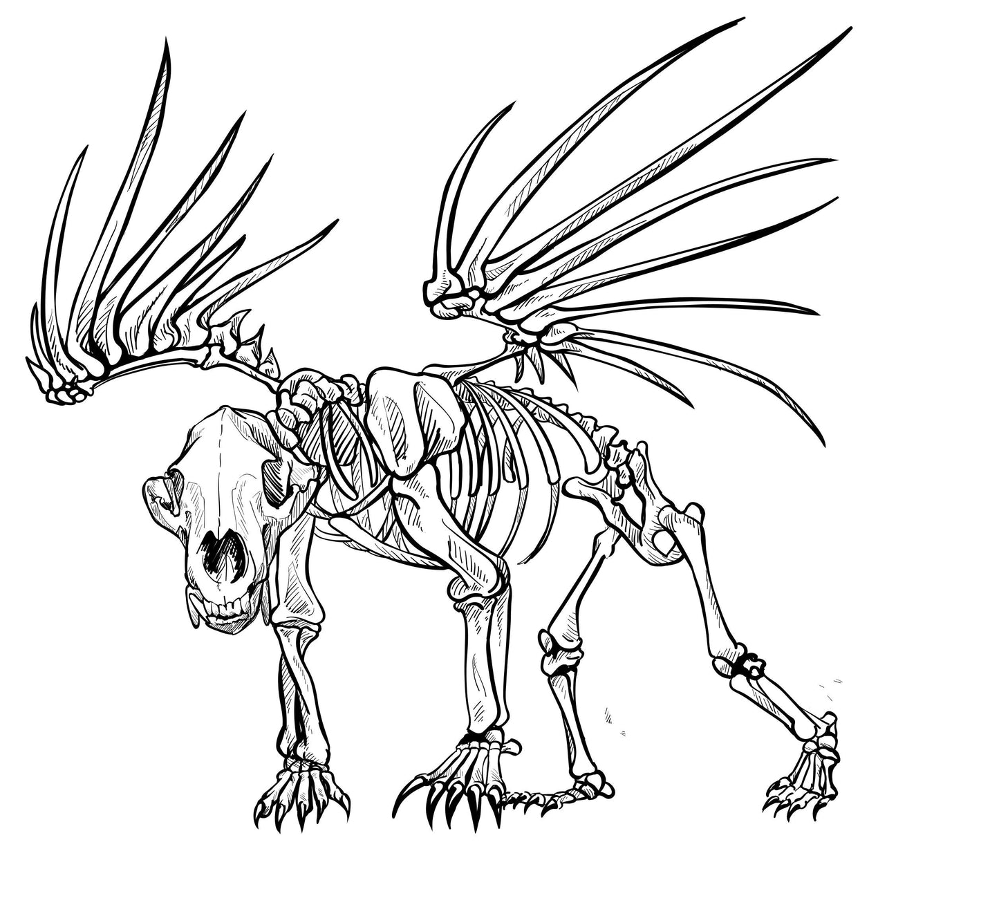 BEAR BONES